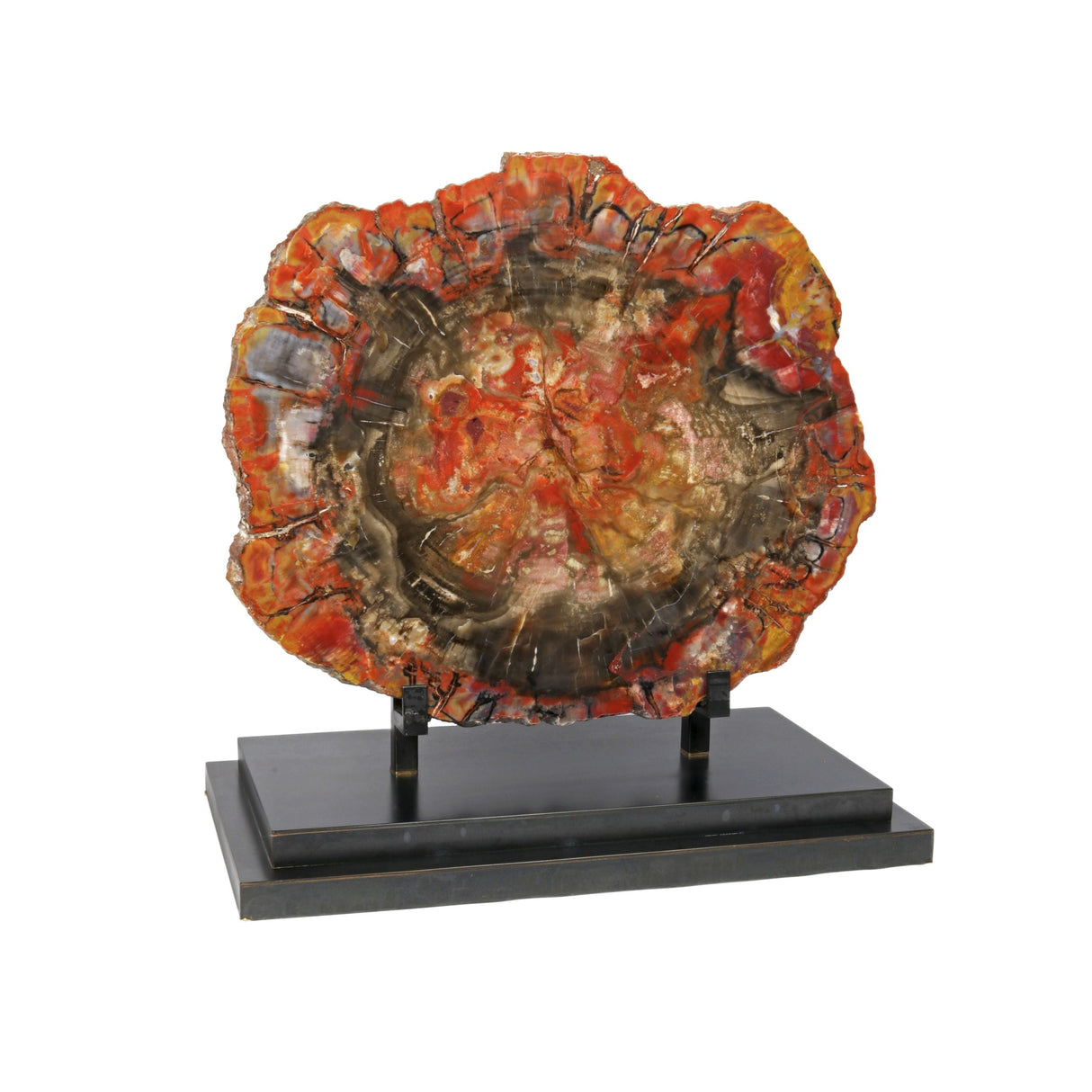 Arizona Petrified Wood Slice on Custom Stand with Pinks & Red & Brown Inclusions with Lucite Easel