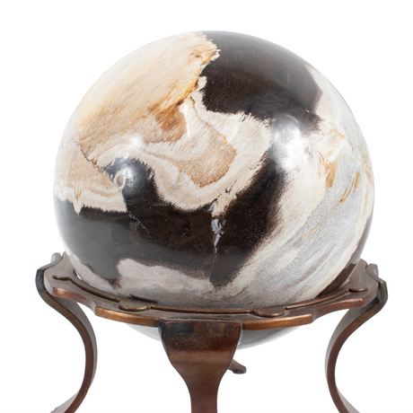 View of Indonesian Petrified Wood Sphere In Custom Ring Stand - 6.5 Inch Sphere In Copper