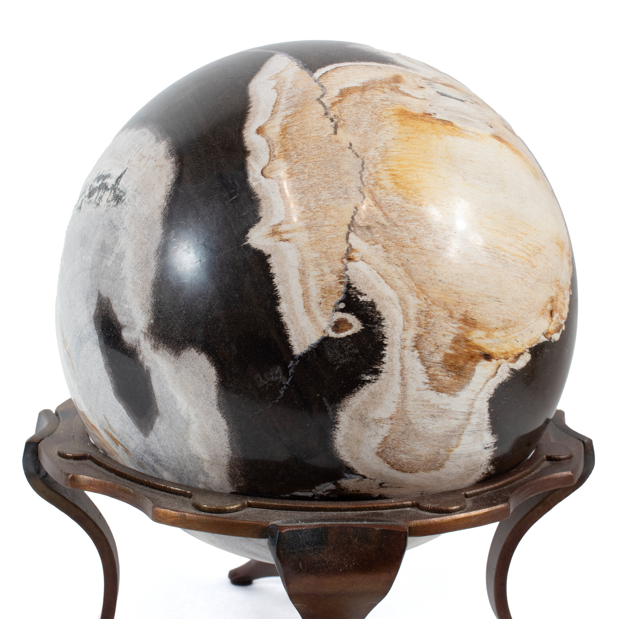 Indonesian Petrified Wood Sphere In Custom Ring Stand - 6.5 Inch Sphere In Copper