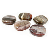 Madagascar Petrified Wood Flat Stone - Small (Singles)