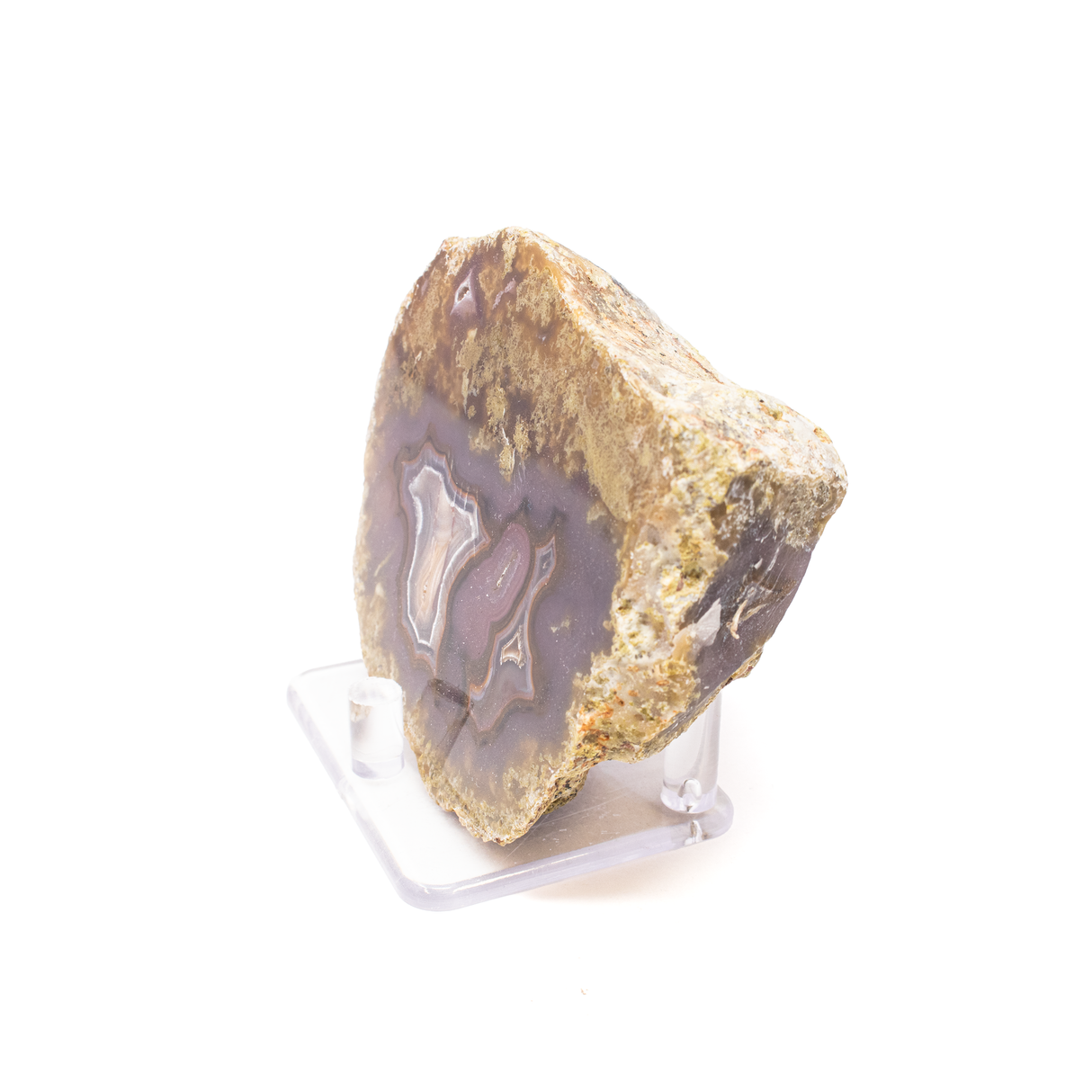 View of Agua Nueva Agate Geode End Cut - Dark Purple With White And Black