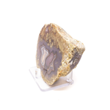View of Agua Nueva Agate Geode End Cut - Dark Purple With White And Black