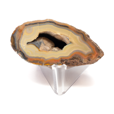 View of Laguna Agate Geode - Brown Face With Deep Druze Pocket