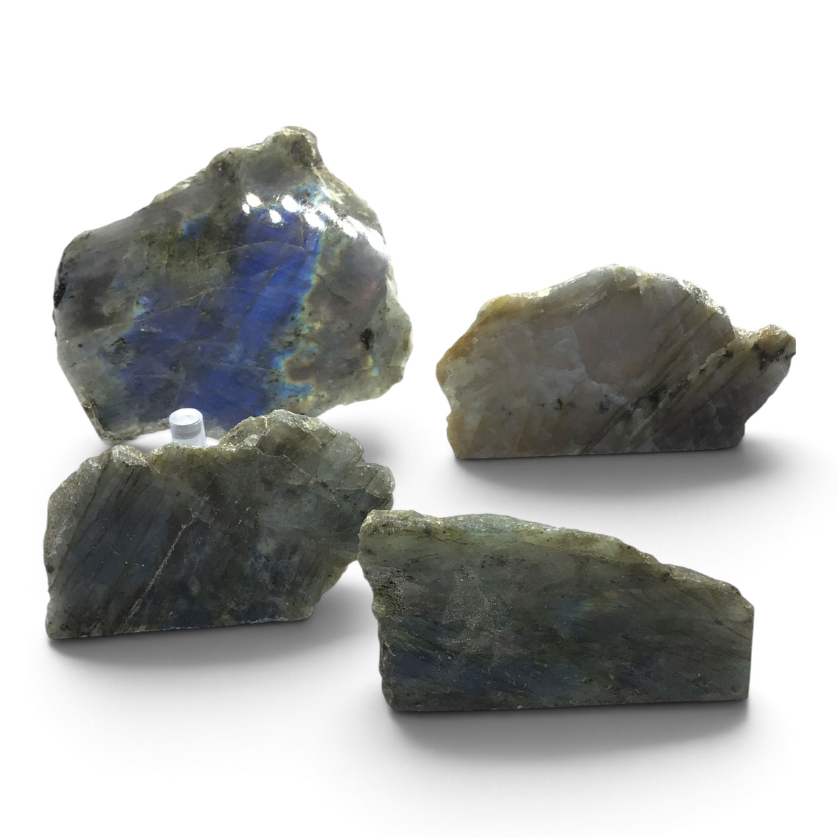 Four natural-edge labradorite specimens on acrylic stands, the largest with vivid blue and violet flash
