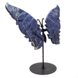 A+ Sodalite Butterfly Wings Carving with Stand