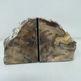 Saddle Mountain Sequoia Petrified Wood Bookends - Small