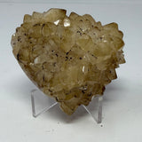 Polished Natural Citrine Crystal Stalactite Knobs on Lucite Stand