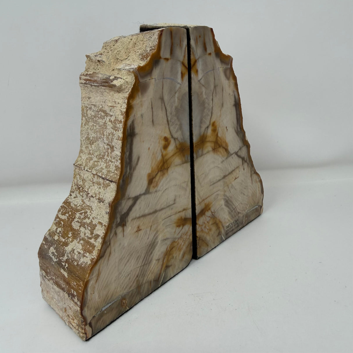 Saddle Mountain Sequoia Petrified Wood Bookends - Small