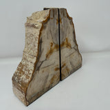 Saddle Mountain Sequoia Petrified Wood Bookends - Small