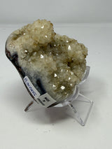 Polished Natural Citrine Crystal Stalactite Knobs on Lucite Stand