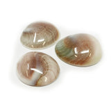 Eye of Shiva Cap (Sold in Singles)