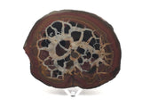Septarian Nodule Slice on Lucite Stand