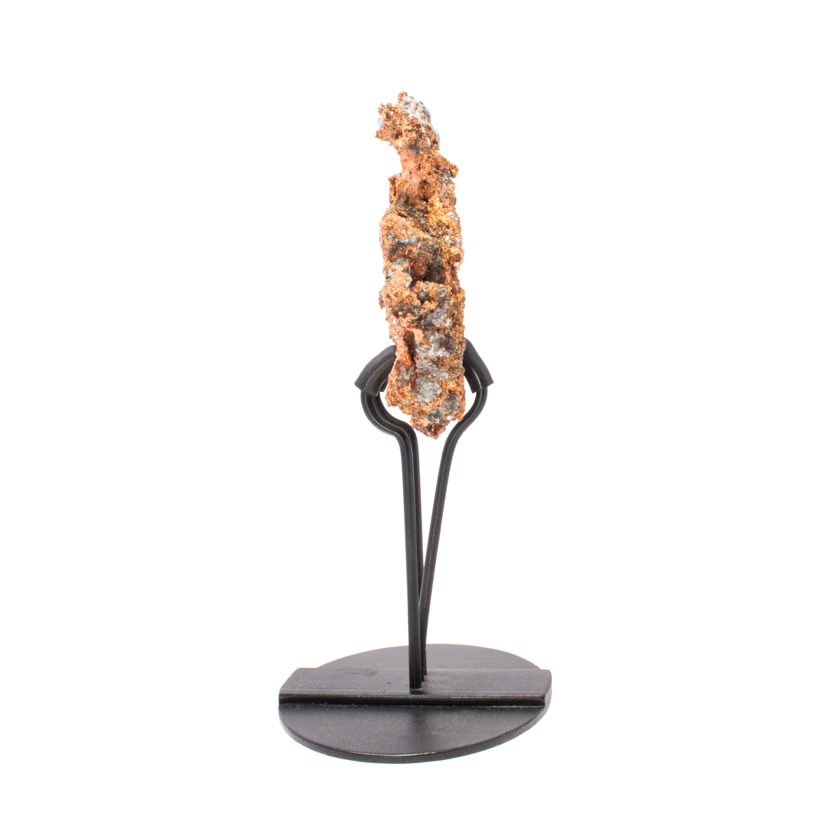 Michigan Native Copper In 3 - Pronged Tension Fit Stand With Freckled White Body