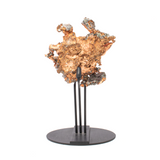 View of Michigan Native Copper In 3 - Pronged Tension Fit Stand With Freckled White Body