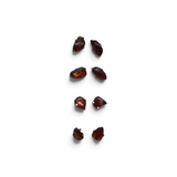 Rare Earth Gallery cognac amber nugget stud earrings featuring polished organic gemstone shapes on silver posts