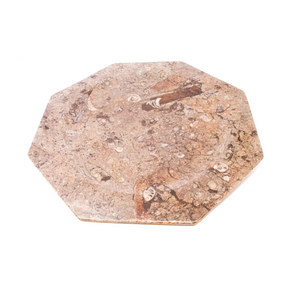 View of Ammonite Orthoceras Seabed Octagonal Charger Plate