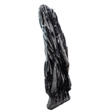 Orthoceras Fossil Sculpture - Plaque Self-Standing Floor Height