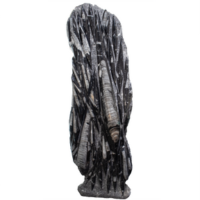 View of Orthoceras Fossil Sculpture - Plaque Self-Standing Floor Height