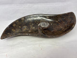 S-Shaped Ammonite & Orthoceras Fossil Bowl in Brown Seabed with Ammonite Feature