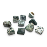 Rare Earth Gallery tumbled moss agate stones from India with green and white dendritic patterns on a white background