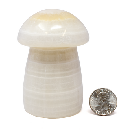 View of Madagascar Onyx Polished Mushroom