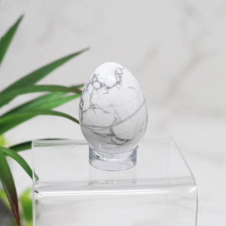 View of Howlite Carved Eggs - Small with Lucite Stand
