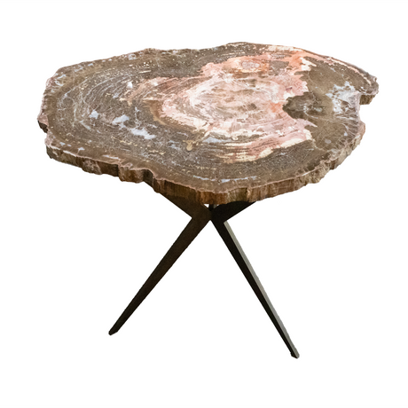 View of Arizona Petrified Wood Slice - Rare Pink & Browns Schilderia Wood