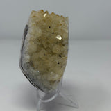 Polished Natural Citrine Crystal Stalactite Knobs on Lucite Stand