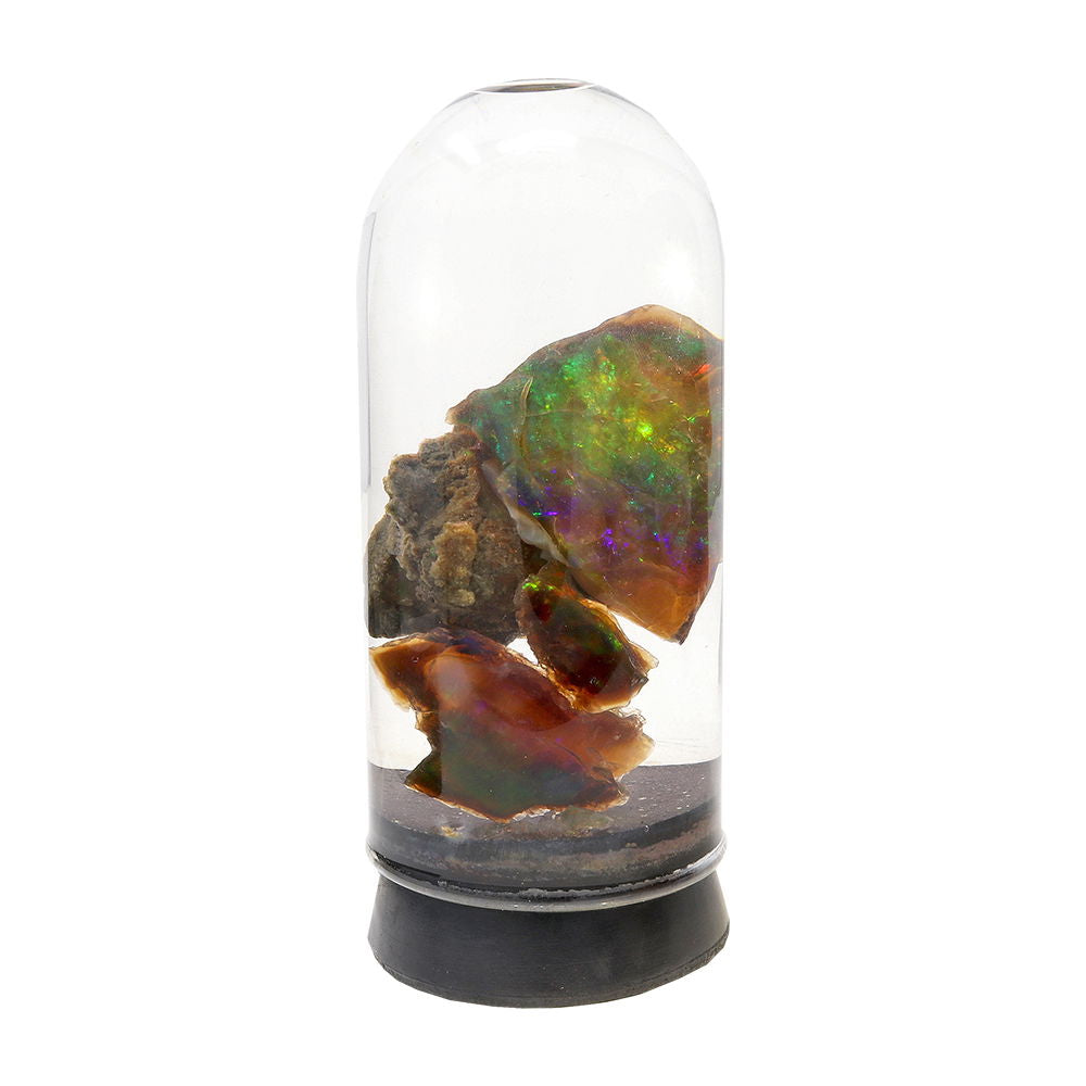 Black Opal Virgin Valley Nevada - Duo Specimen