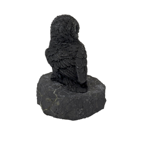 Shungite owl figurine rear view with head turned, carved feathered back over a shungite stone base
