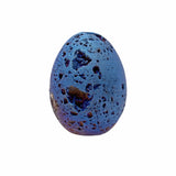 Blue Titanium Coated Egg