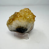Polished Natural Citrine Crystal Stalactite Knobs on Lucite Stand