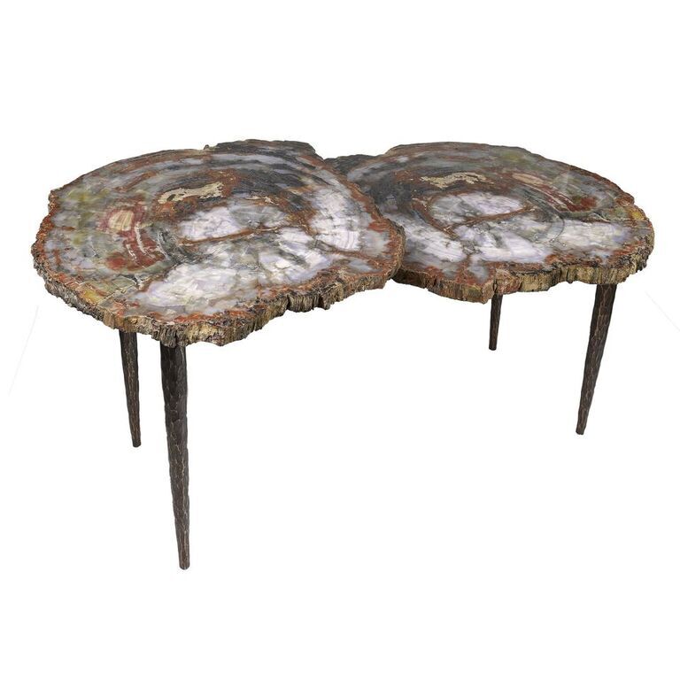 Arizona Petrified Wood Duo Slice Table with Forged Base
