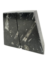 Ammonite and Orthoceras Fossil Bookends in Black Seabed - Trapezoid