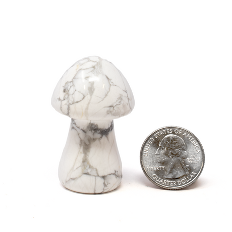 View of Howlite Carved Mushroom