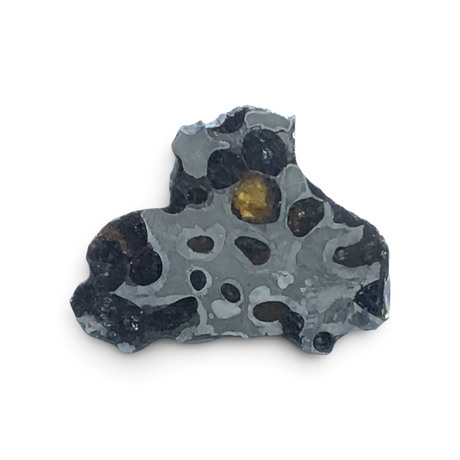 View of Brenham Pallasite Meteorite Slice
