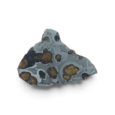 View of Brenham Pallasite Meteorite Slice