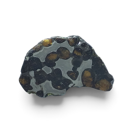 View of Brenham Pallasite Meteorite Slice