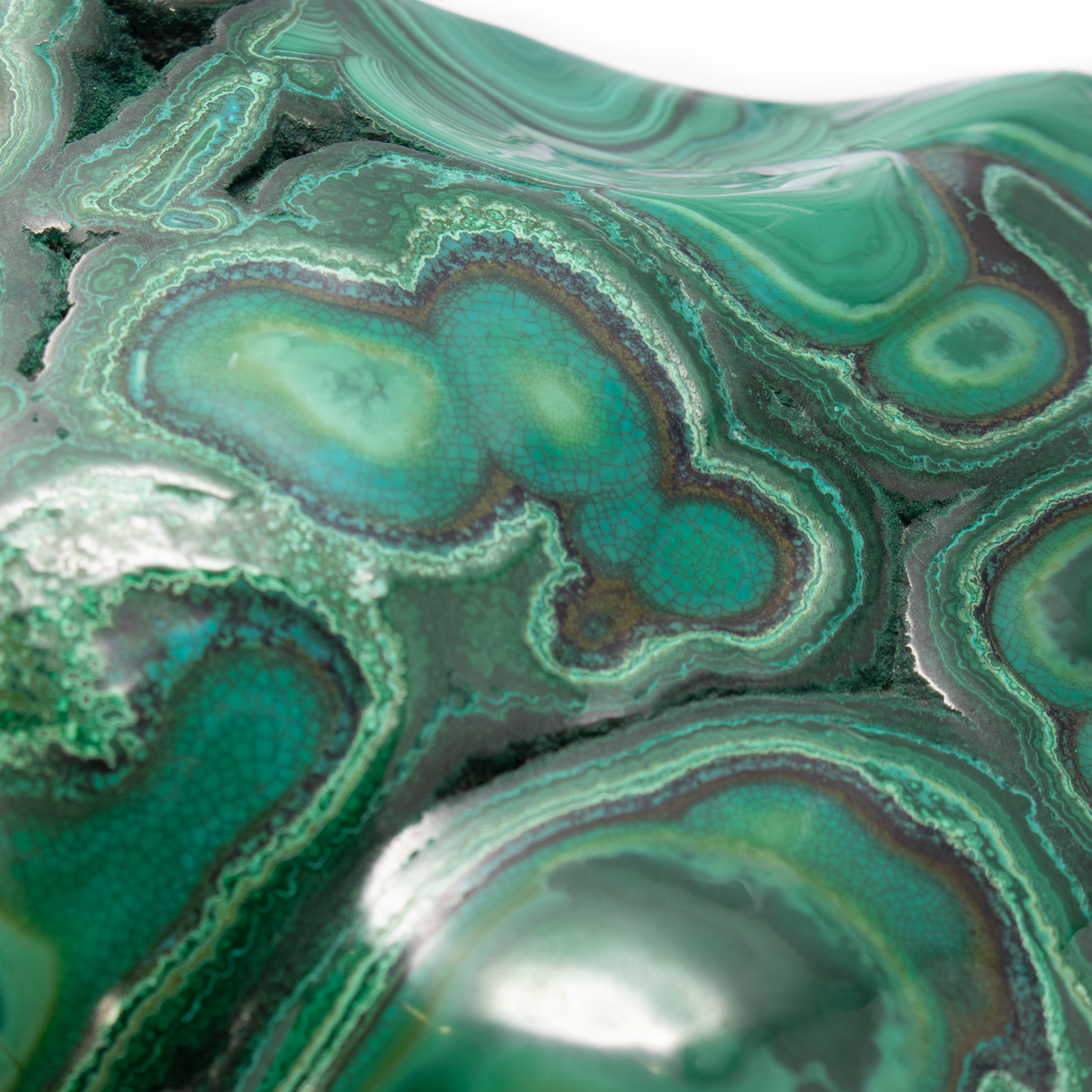 Brilliant Chrysocolla Malachite Freeform on Rotating Custom Stand with Copper Quatrafoil Design