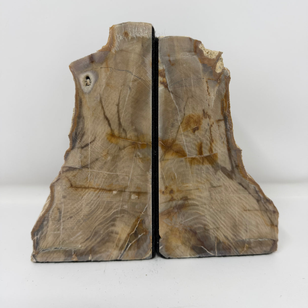 Saddle Mountain Sequoia Petrified Wood Bookends - Small