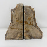 Saddle Mountain Sequoia Petrified Wood Bookends - Small