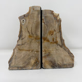 Saddle Mountain Sequoia Petrified Wood Bookends - Small