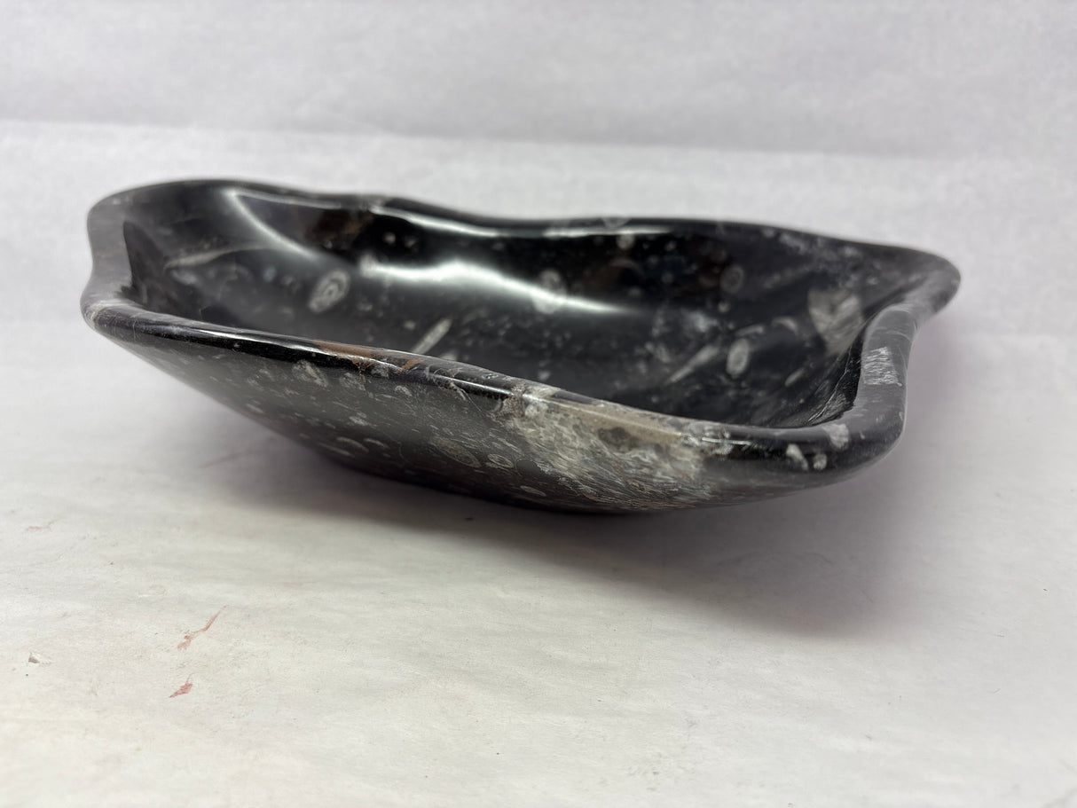 Orthoceras Fossil Bowl in Black Seabed - Freeform Triangle