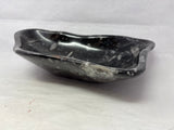 Orthoceras Fossil Bowl in Black Seabed - Freeform Triangle