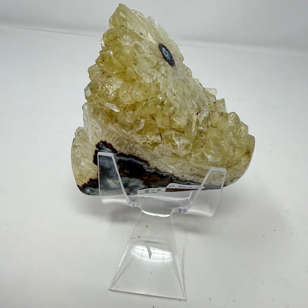 Polished Natural Citrine Crystal Stalactite Knobs on Lucite Stand