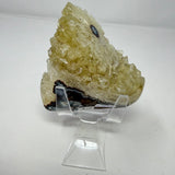 Polished Natural Citrine Crystal Stalactite Knobs on Lucite Stand