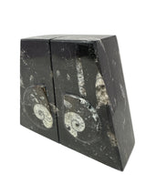 Ammonite and Orthoceras Fossil Bookends in Black Seabed - Trapezoid