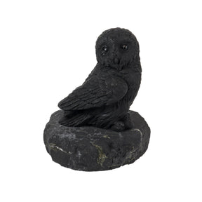 Shungite owl figurine perched on a rough shungite stone base, glossy black with carved feathers, front view