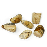 Tumbled Picture Jasper (Singles)
