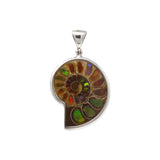 Ammonite Inlaid With Ammolite Pendant Bezel